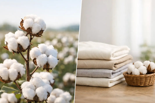 Is Organic Cotton Better? The Honest Answer